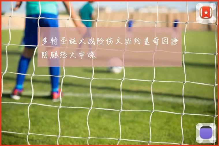 多特圣诞大战险伤文班约基奇因撩阴腿怒火中烧